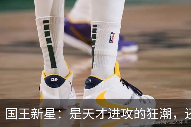 国王新星：是天才进攻的狂潮，还是防守的绝望？