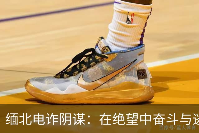 缅北电诈阴谋：在绝望中奋斗与逃生的故事